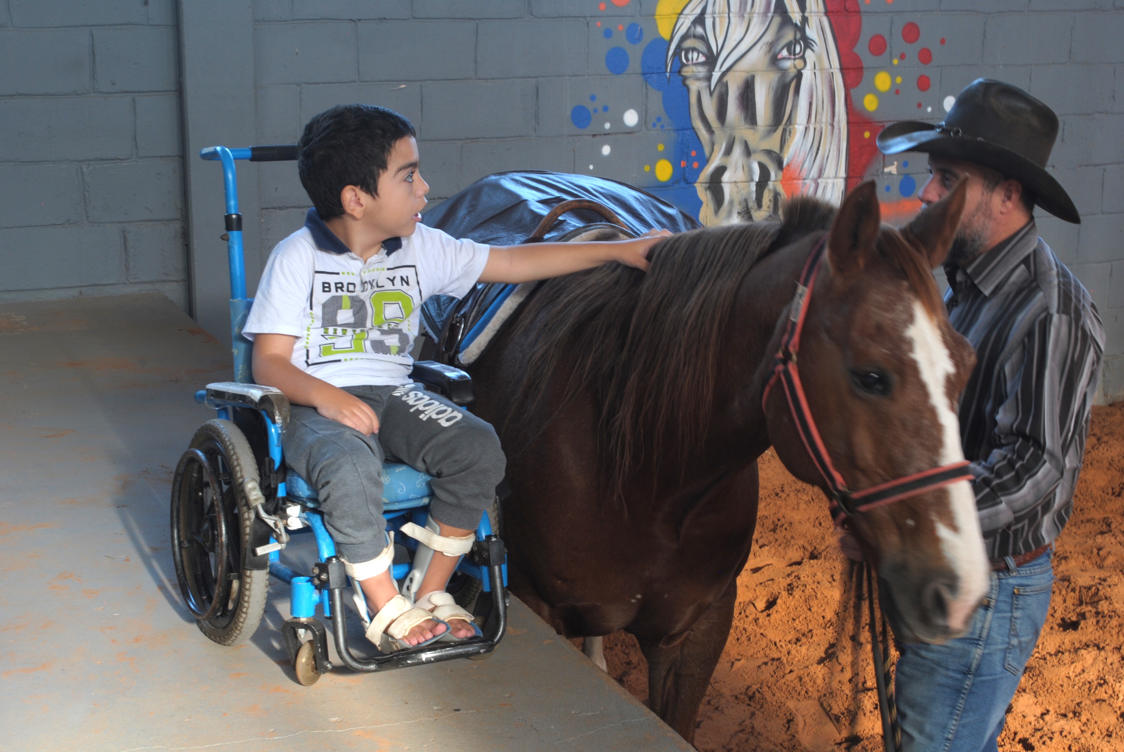 Equoterapia Image